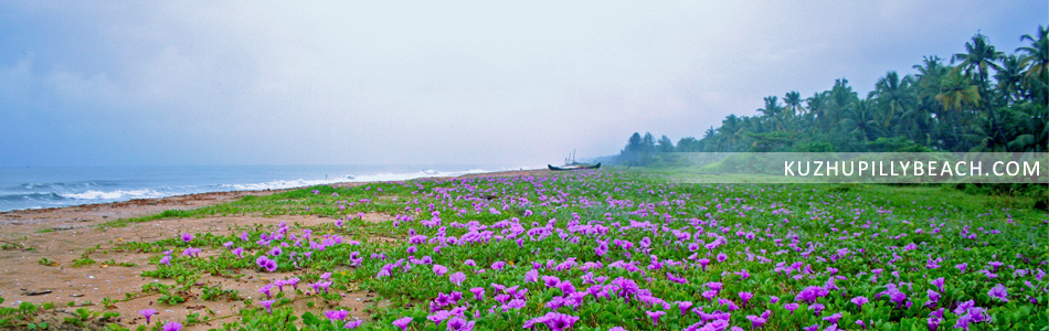 Kuzhupilly Beach